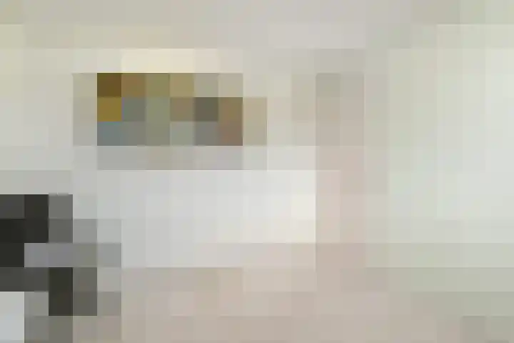Tahiti 45 Zoetermeer thumbnail 33