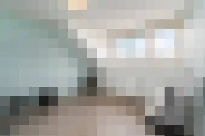 Tahiti 45 Zoetermeer thumbnail 34