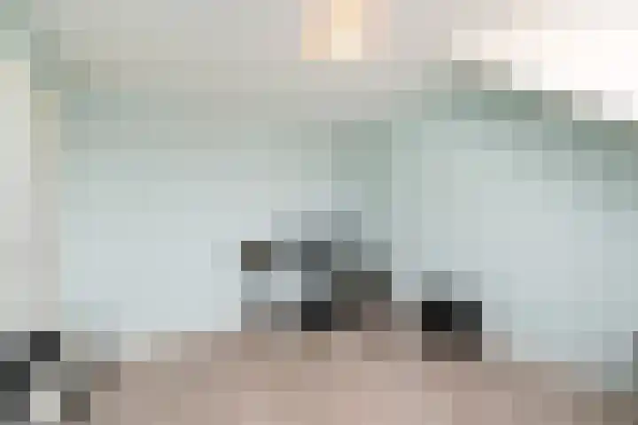 Tahiti 45 Zoetermeer thumbnail 35