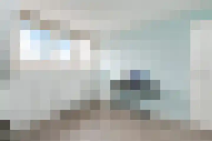 Tahiti 45 Zoetermeer thumbnail 36
