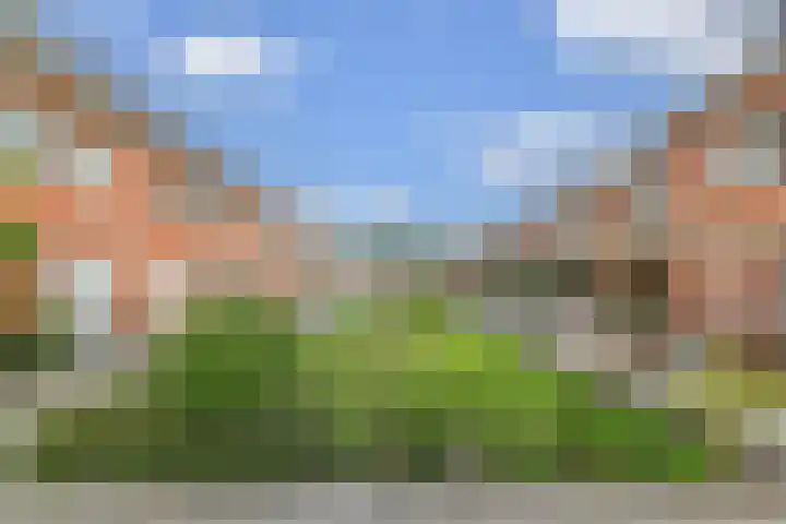 Tahiti 45 Zoetermeer thumbnail 37