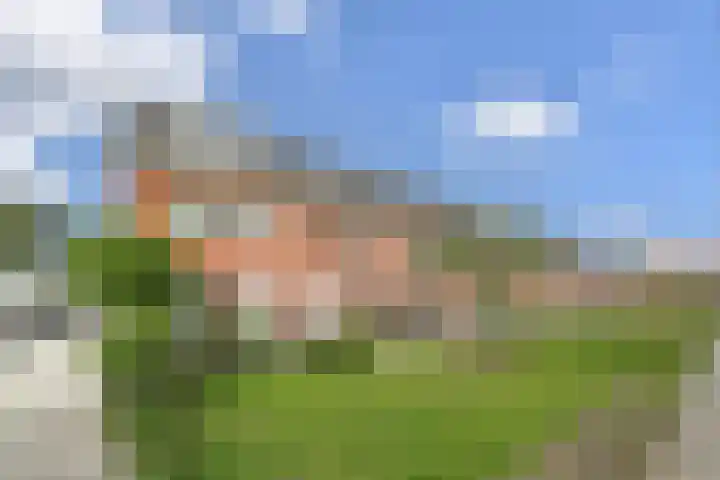 Tahiti 45 Zoetermeer thumbnail 38