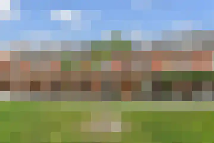 Tahiti 45 Zoetermeer thumbnail 39