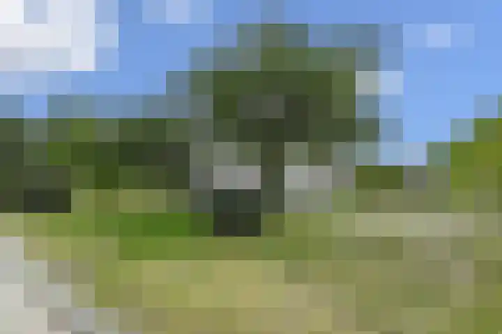Tahiti 45 Zoetermeer thumbnail 40