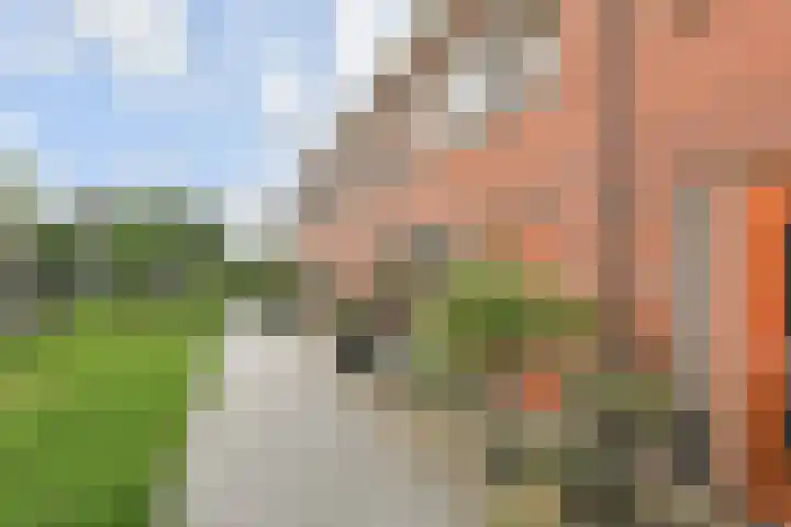 Tahiti 45 Zoetermeer thumbnail 5
