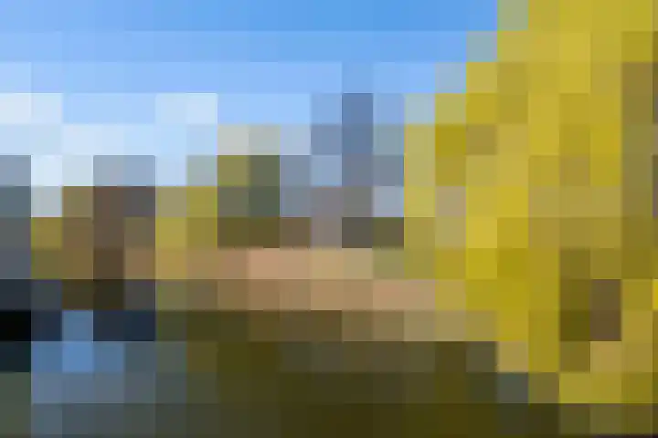 Tahitistraat 11 Almere thumbnail 40