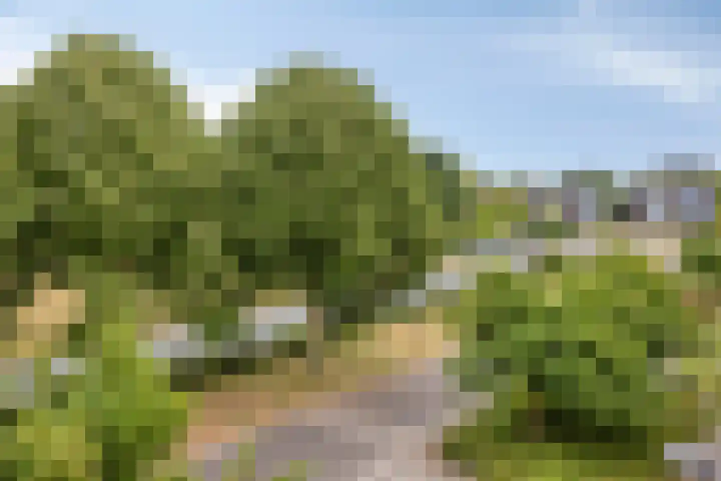 Tahitistraat 13 Almere thumbnail 33