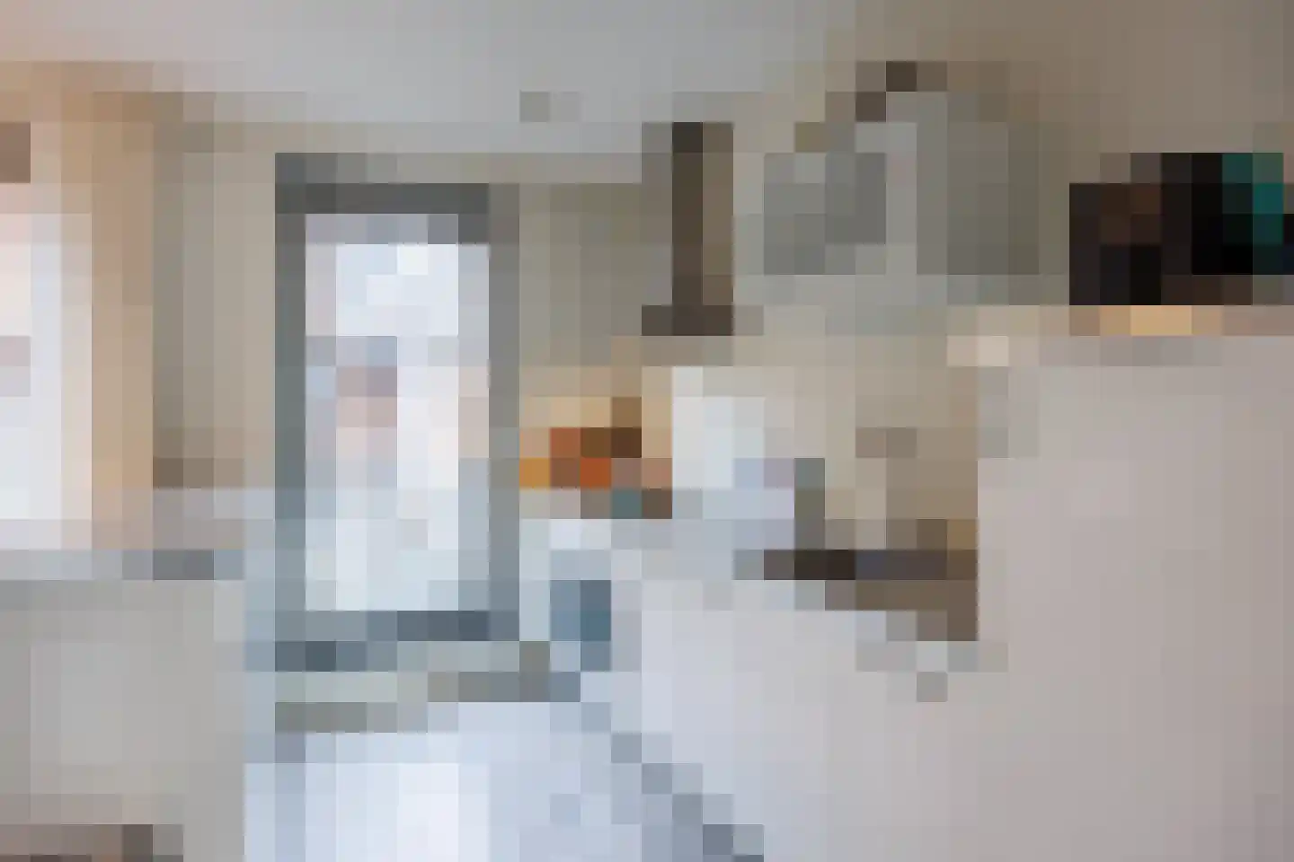 Taj Mahalplaats 15 Delft thumbnail 14