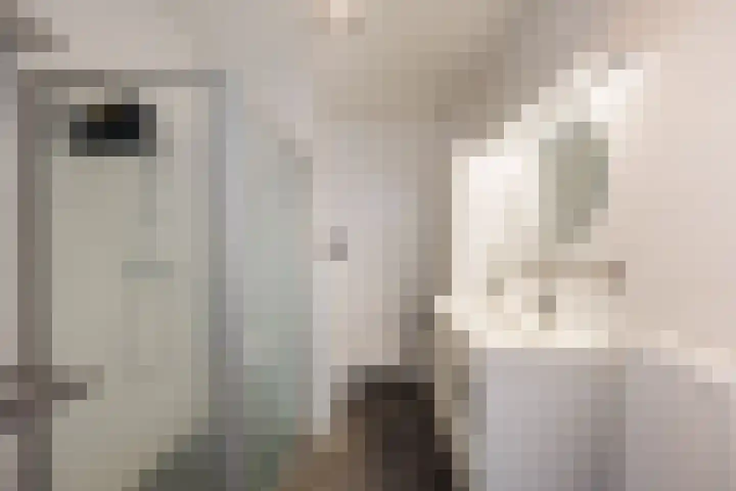 Taj Mahalplaats 15 Delft thumbnail 17