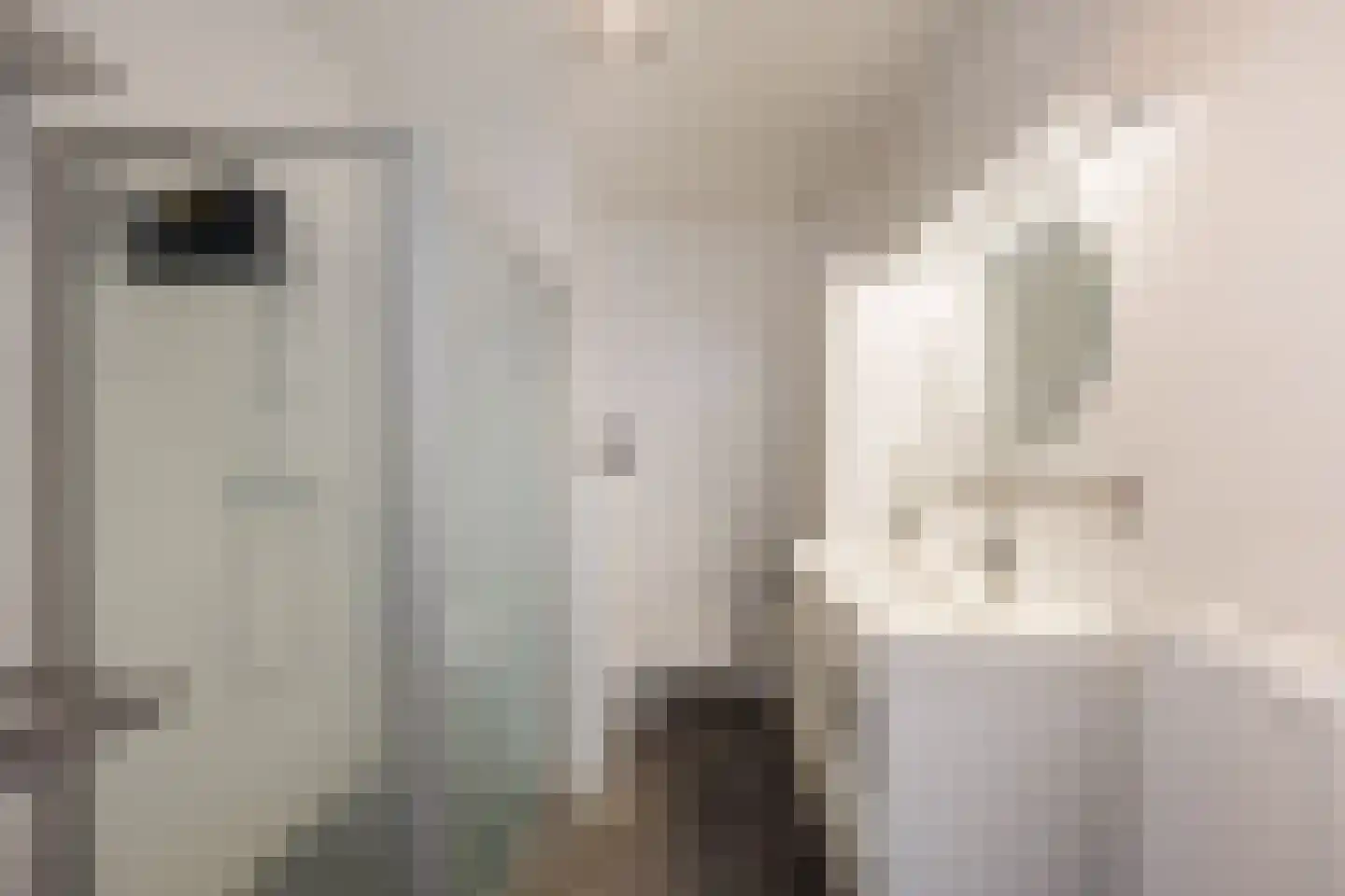 Taj Mahalplaats 15 Delft thumbnail 18