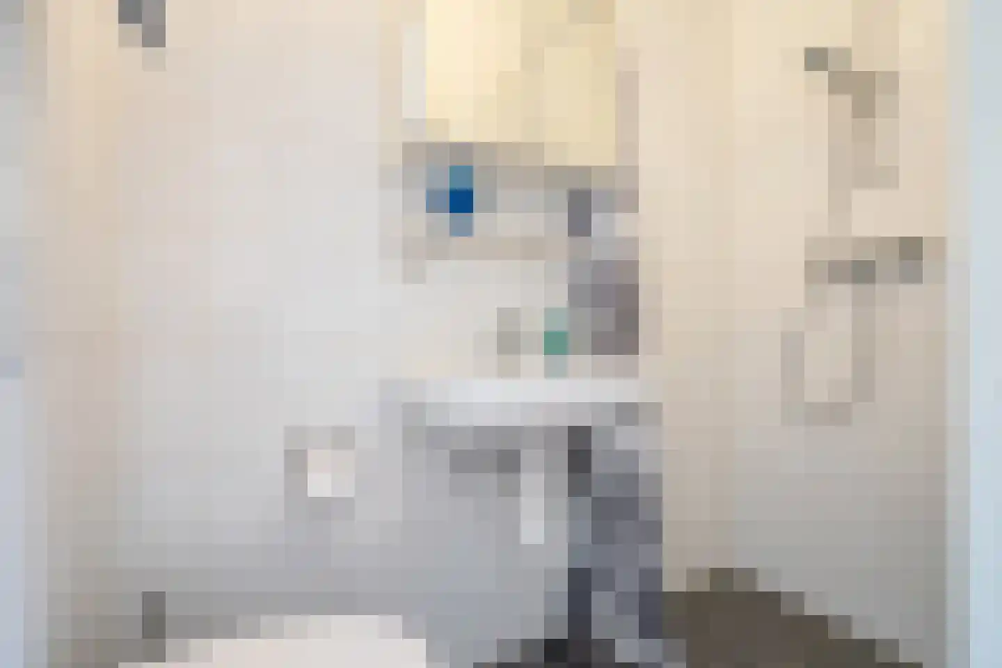 Taj Mahalplaats 5 Delft thumbnail 18