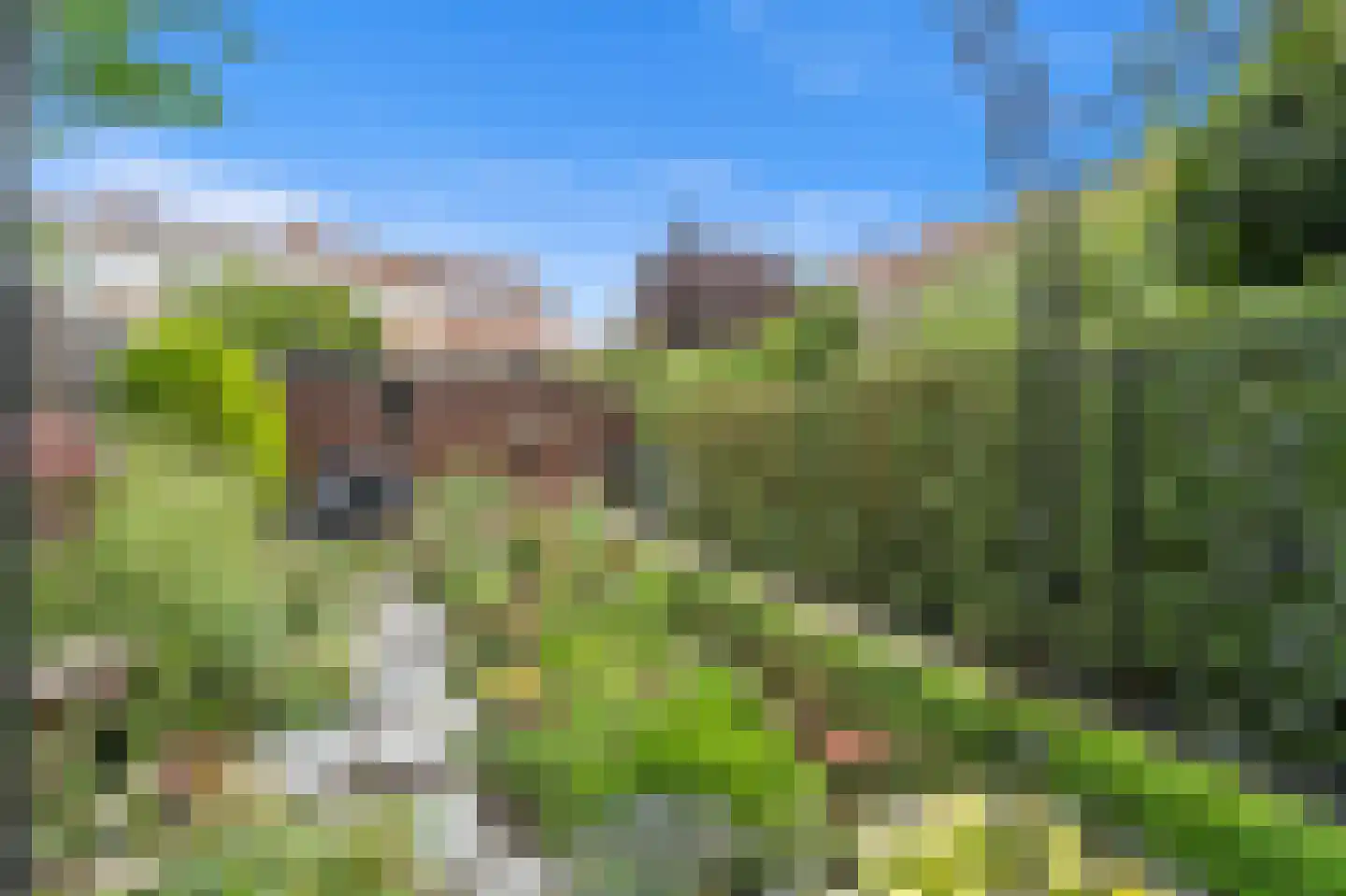 Tak van Poortvlietstraat 10 Delft thumbnail 18