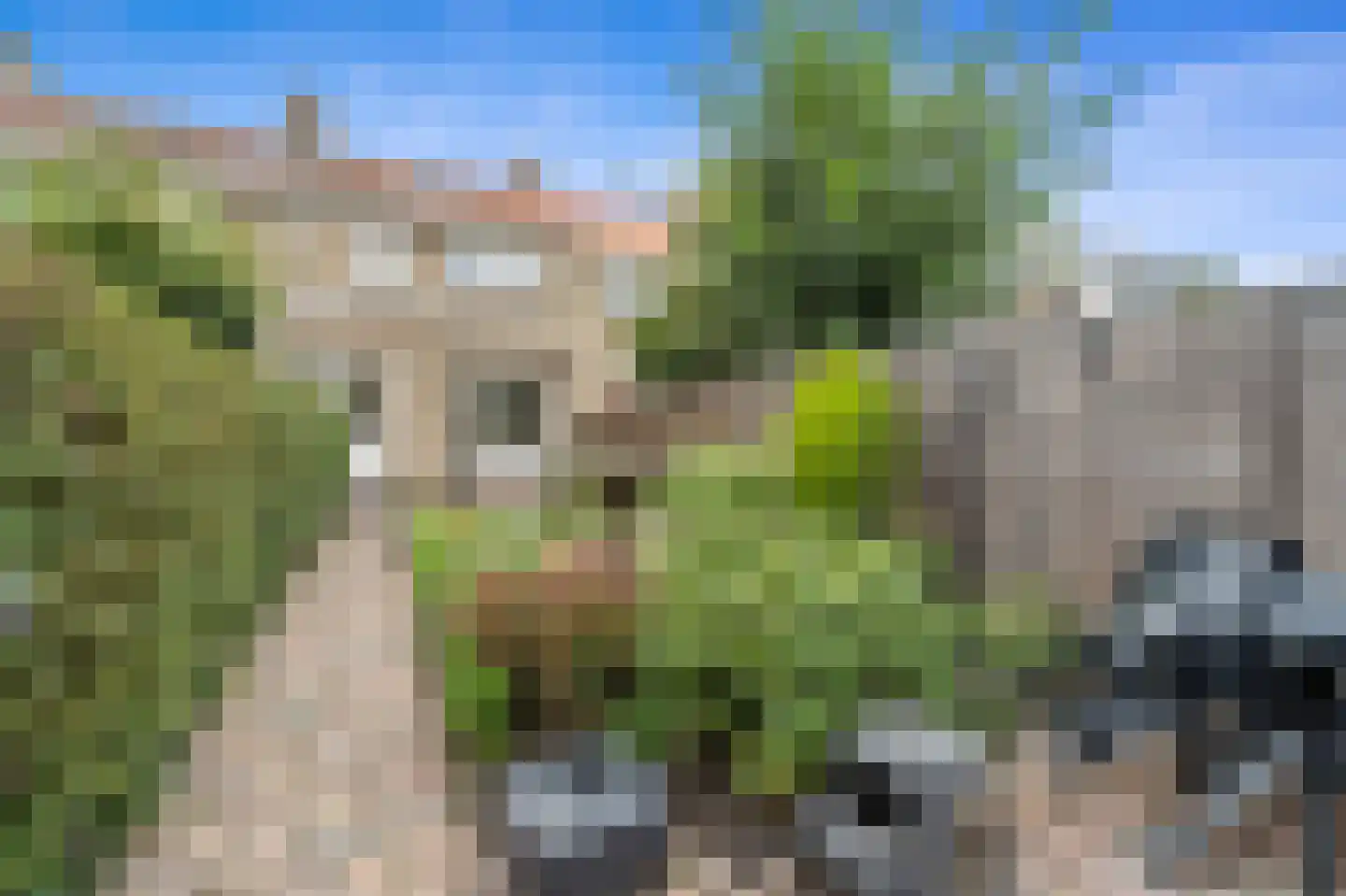 Tak van Poortvlietstraat 10 Delft thumbnail 20