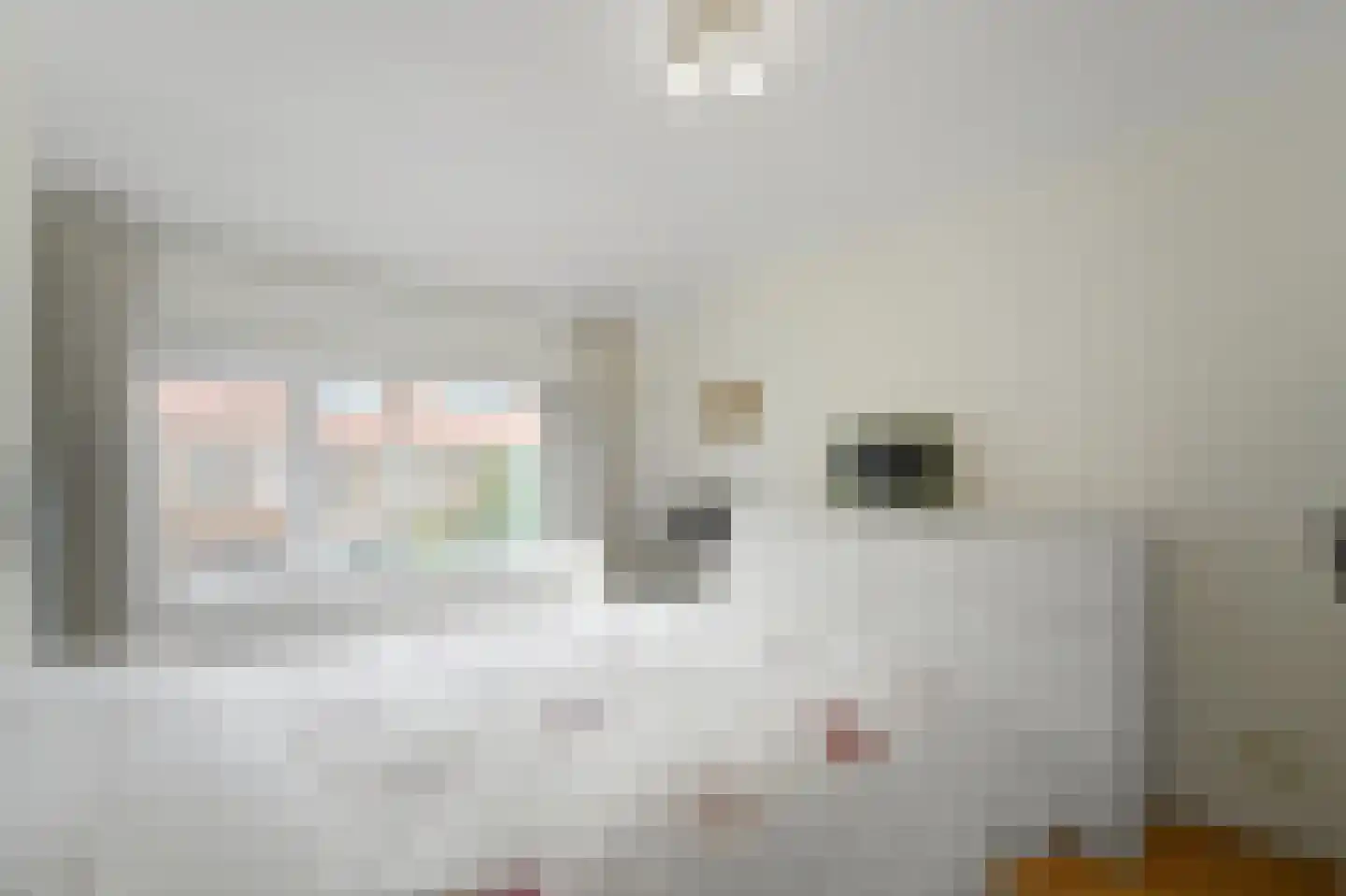 Tak van Poortvlietstraat 10 Delft thumbnail 5