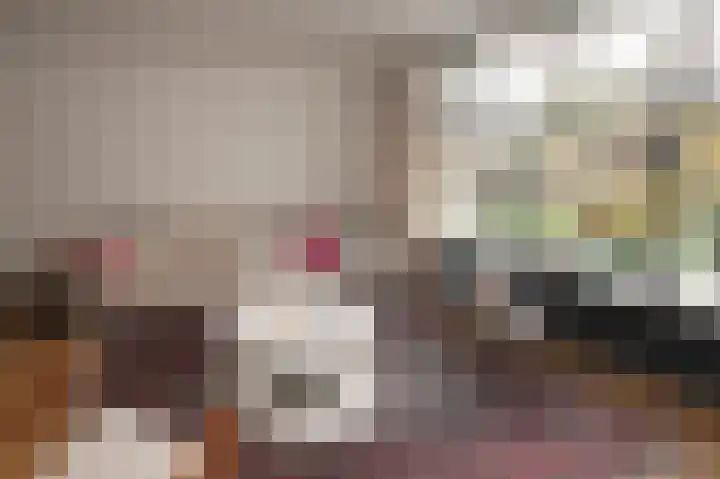 Tak van Poortvlietstraat 17 A Rotterdam thumbnail 4