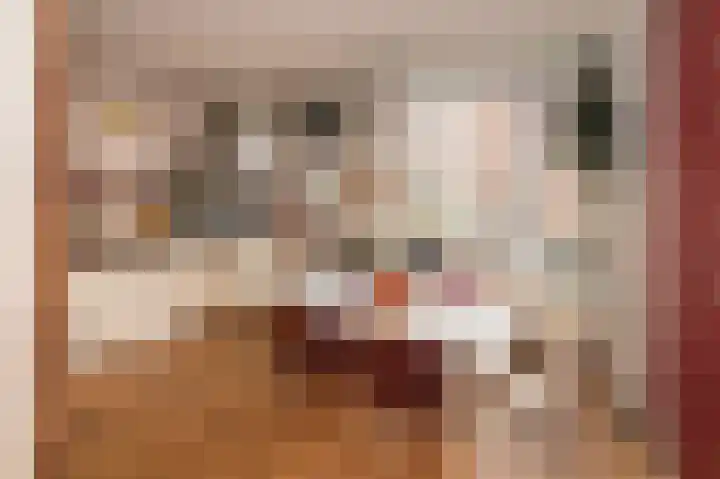 Tak van Poortvlietstraat 17 A Rotterdam thumbnail 5