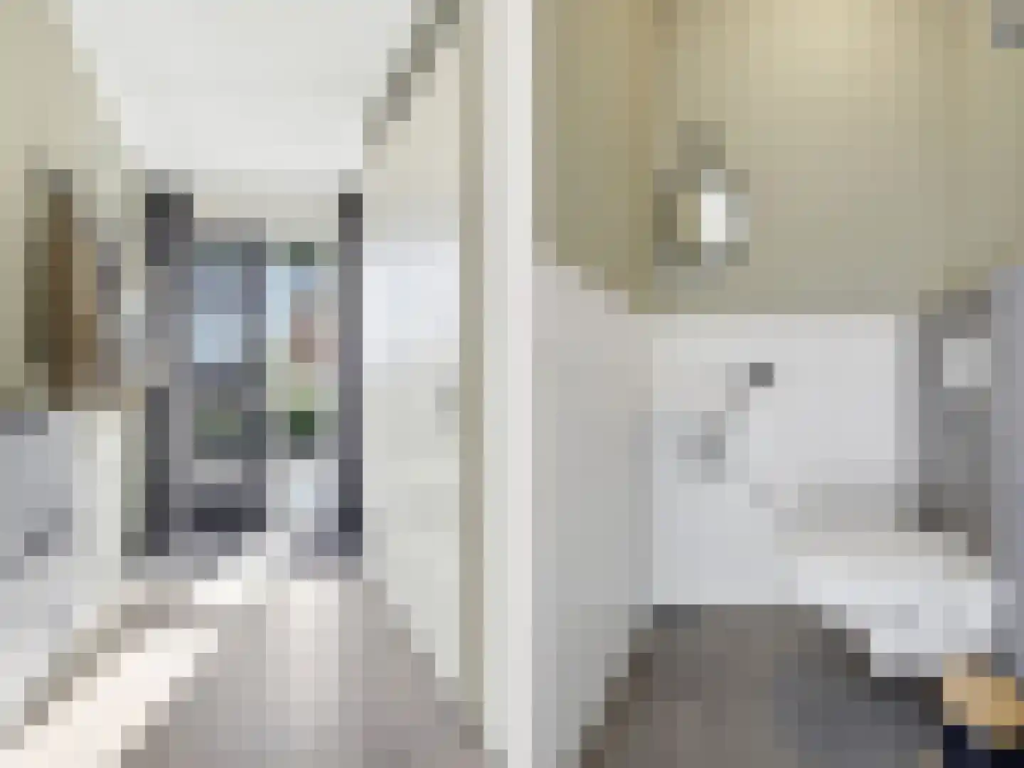 Tak van Poortvlietstraat 2 a Zutphen thumbnail 11