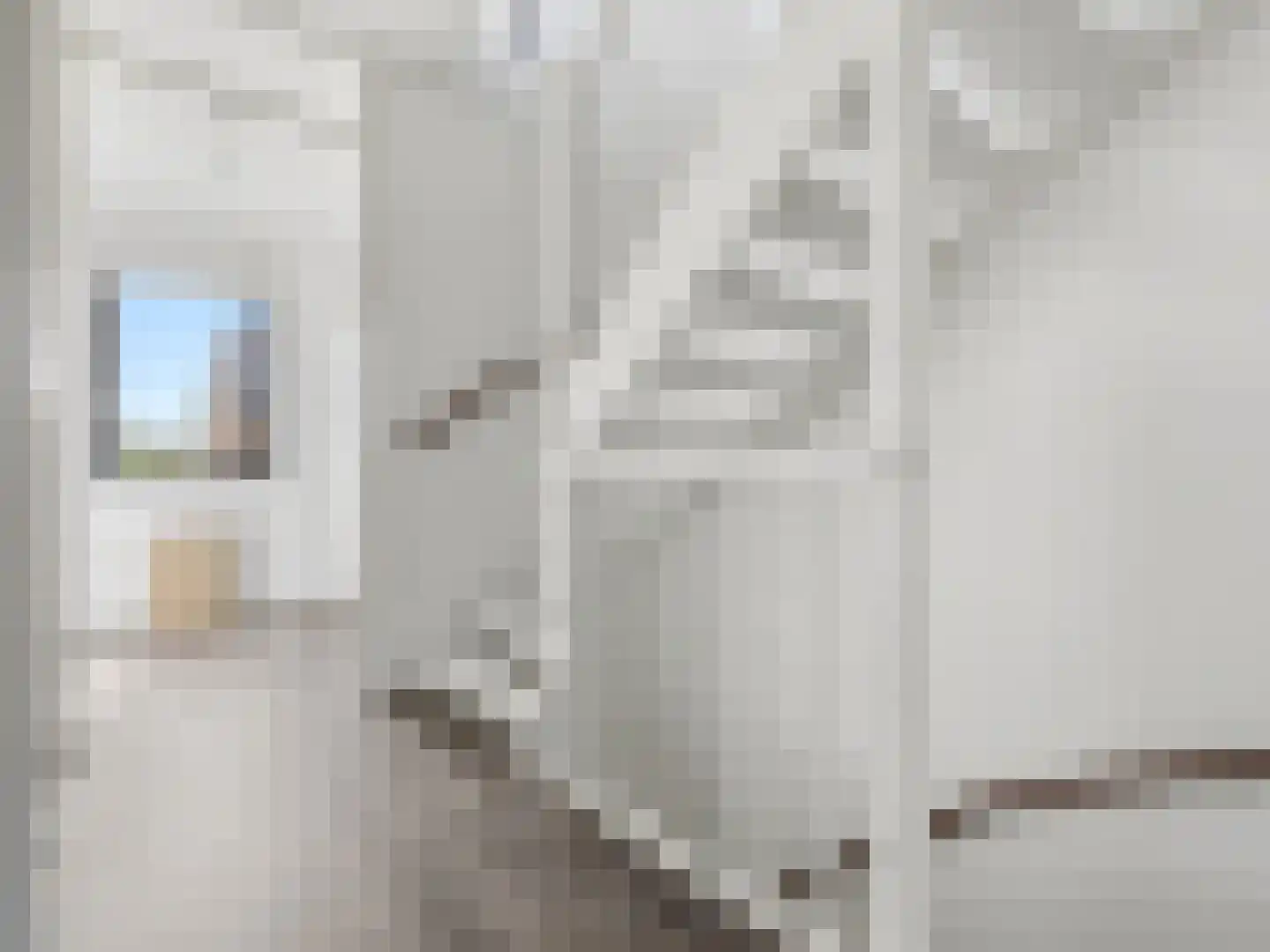Tak van Poortvlietstraat 2 a Zutphen thumbnail 12