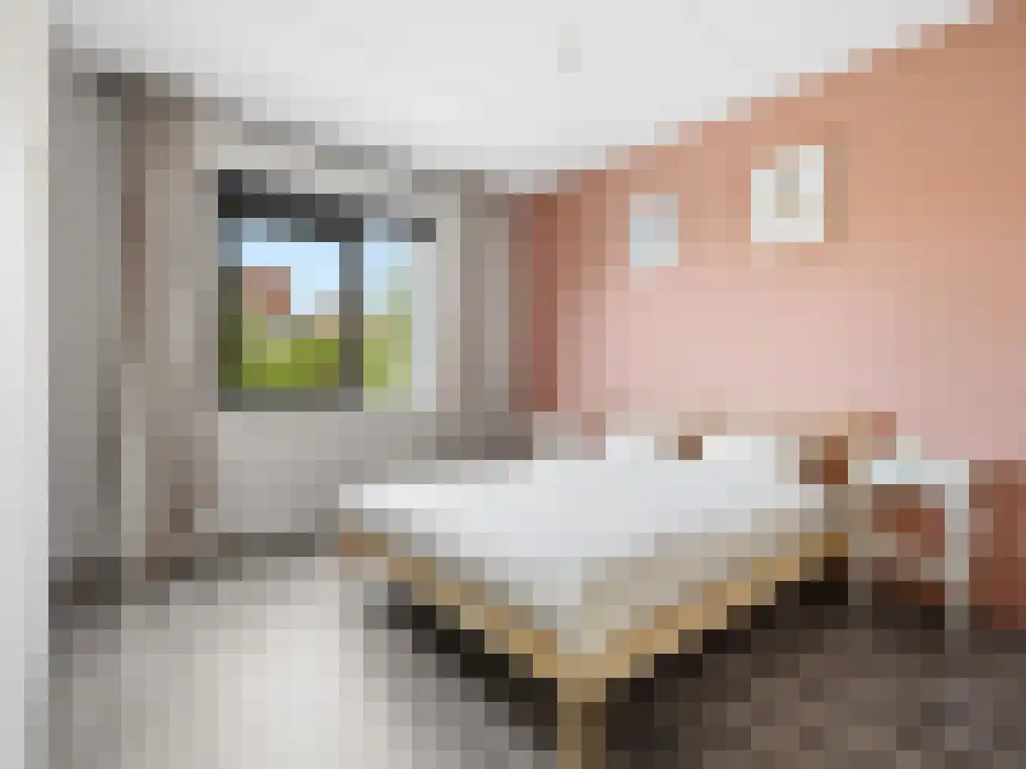 Tak van Poortvlietstraat 2 a Zutphen thumbnail 13