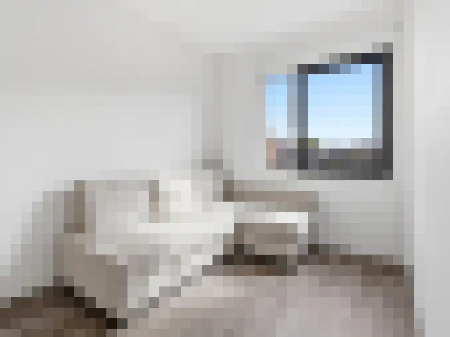 Tak van Poortvlietstraat 2 a Zutphen thumbnail 16
