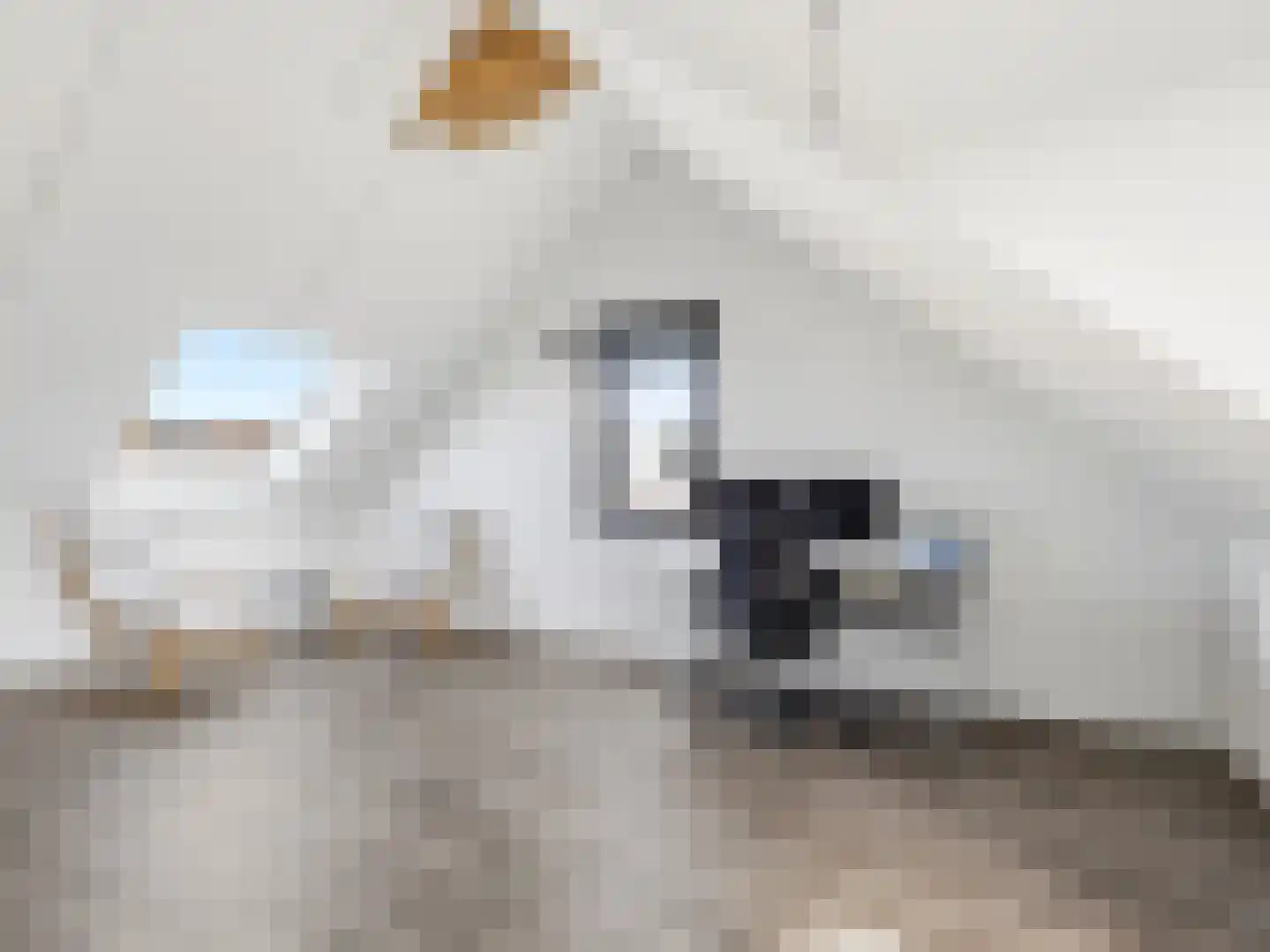 Tak van Poortvlietstraat 2 a Zutphen thumbnail 18