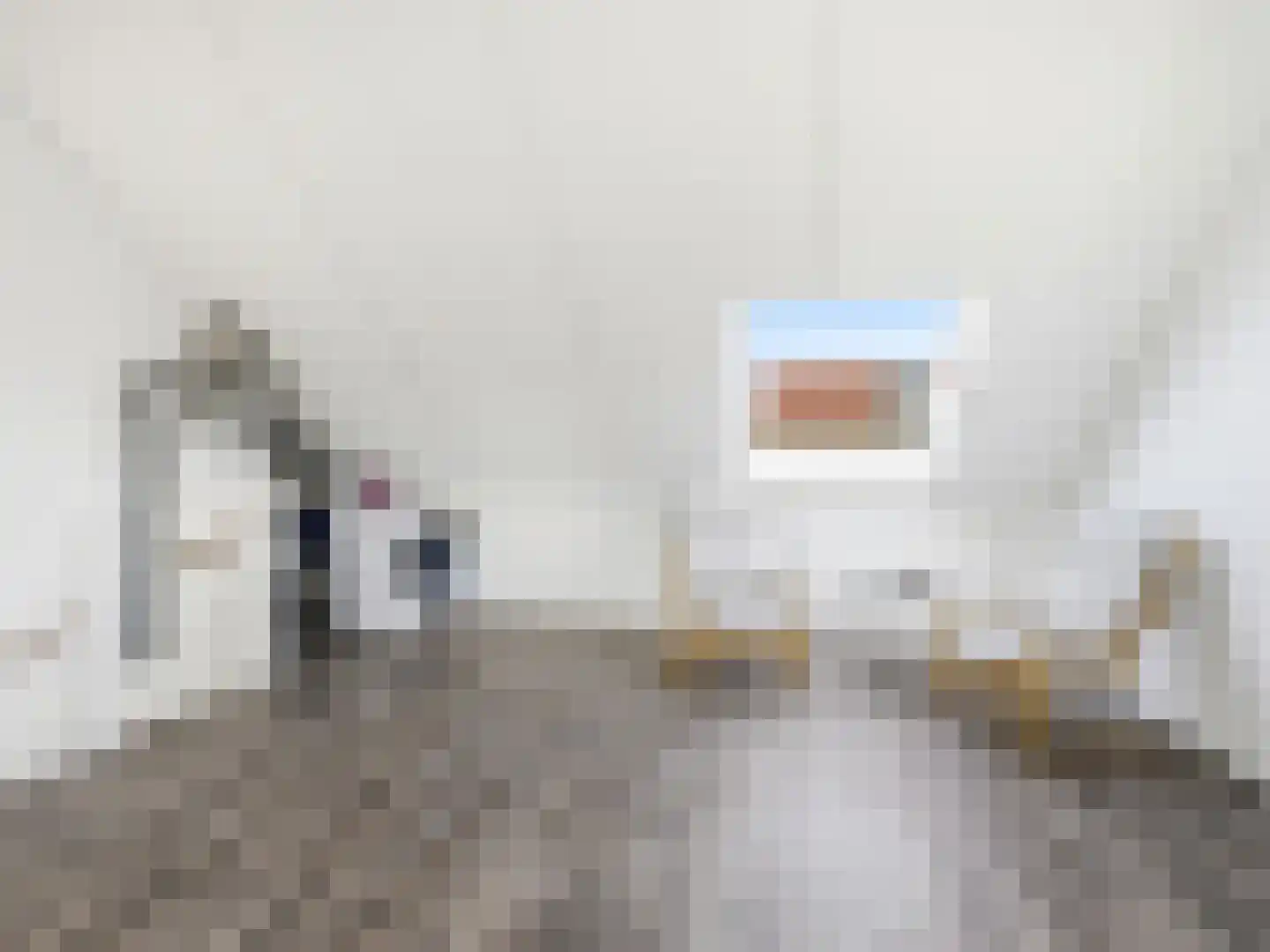 Tak van Poortvlietstraat 2 a Zutphen thumbnail 19