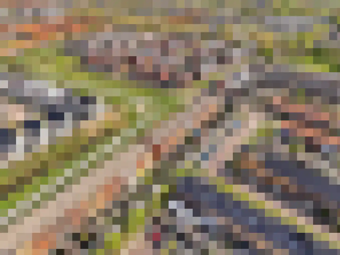 Tak van Poortvlietstraat 2 a Zutphen thumbnail 28