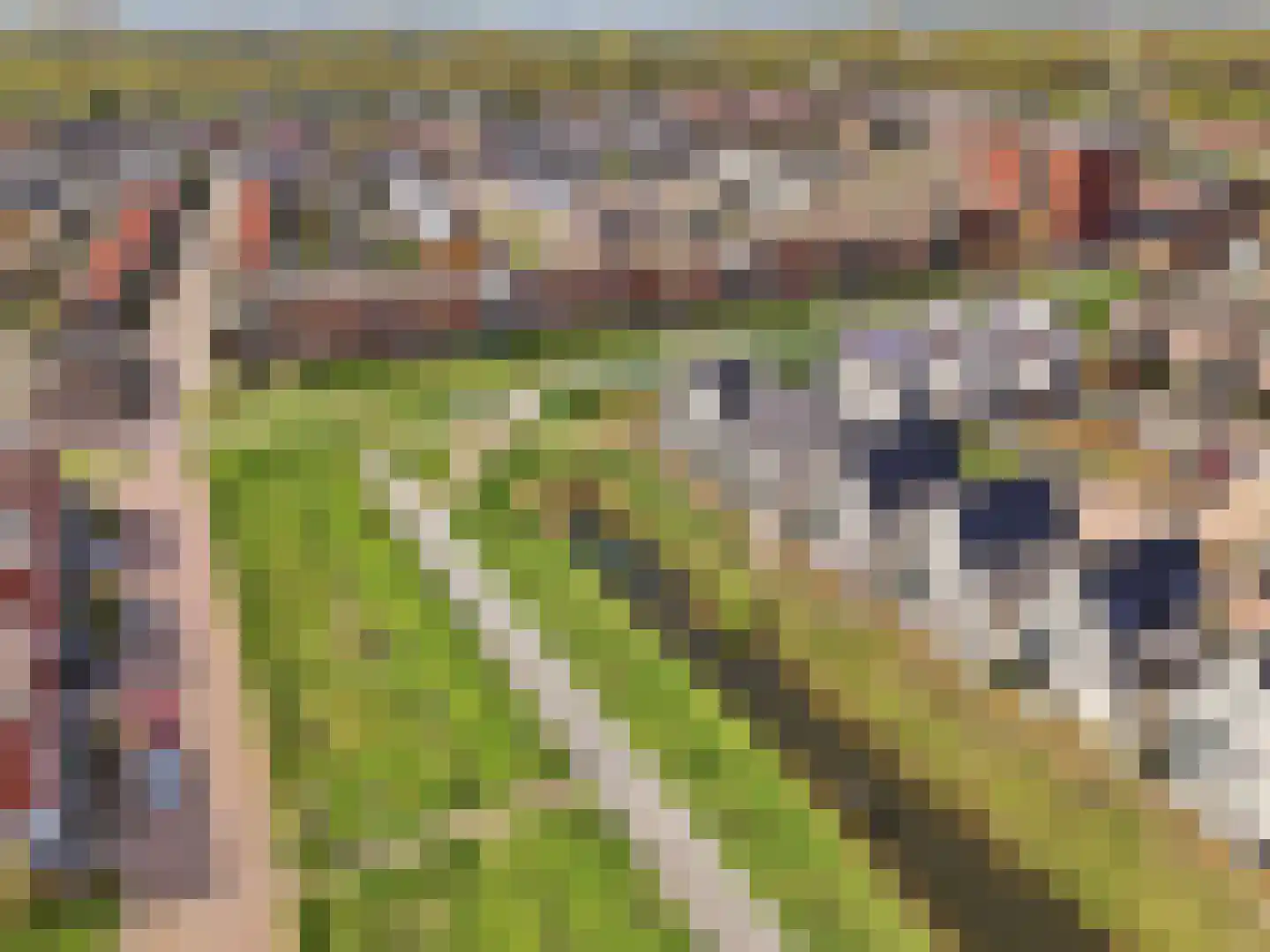 Tak van Poortvlietstraat 2 a Zutphen thumbnail 30