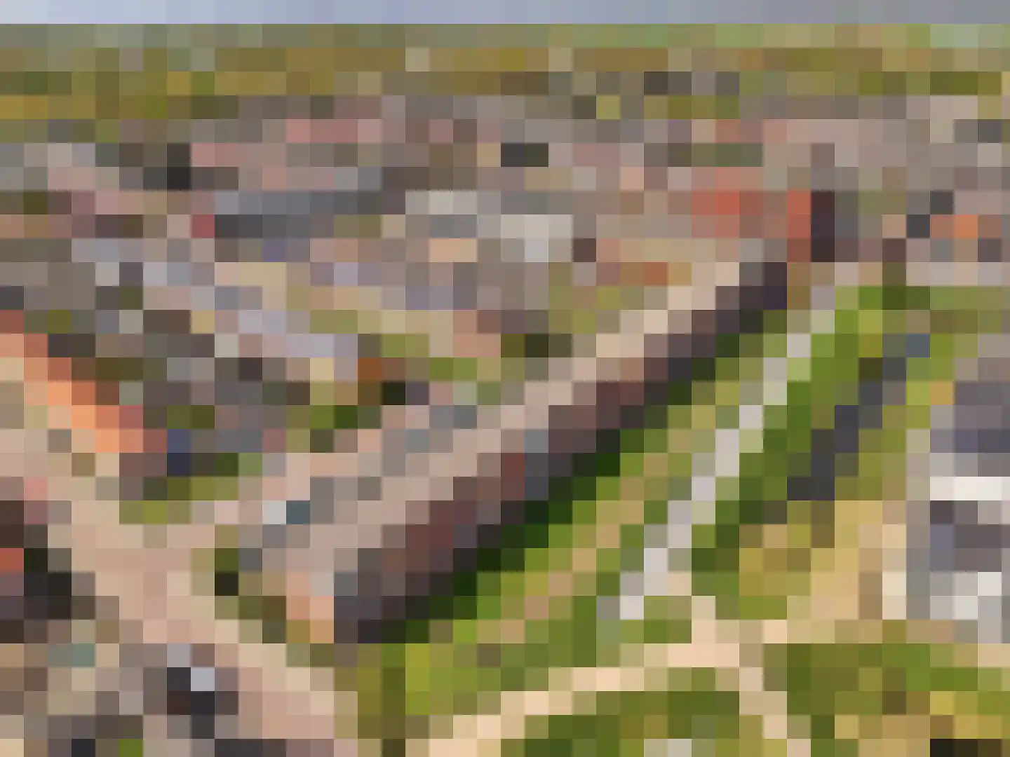 Tak van Poortvlietstraat 2 a Zutphen thumbnail 31