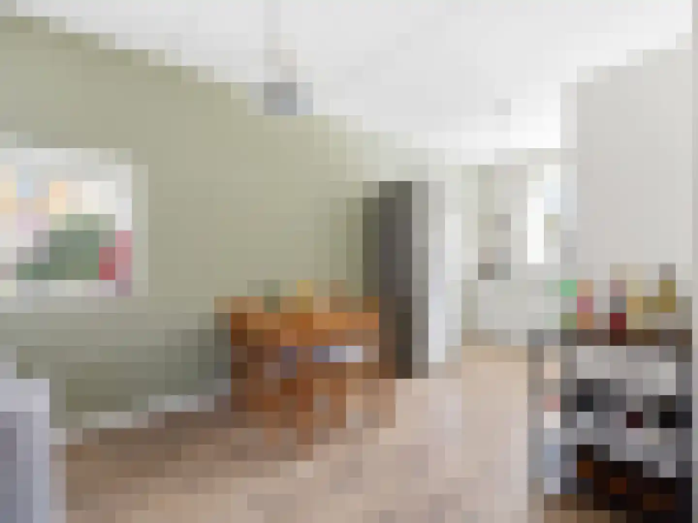 Tak van Poortvlietstraat 2 a Zutphen thumbnail 6