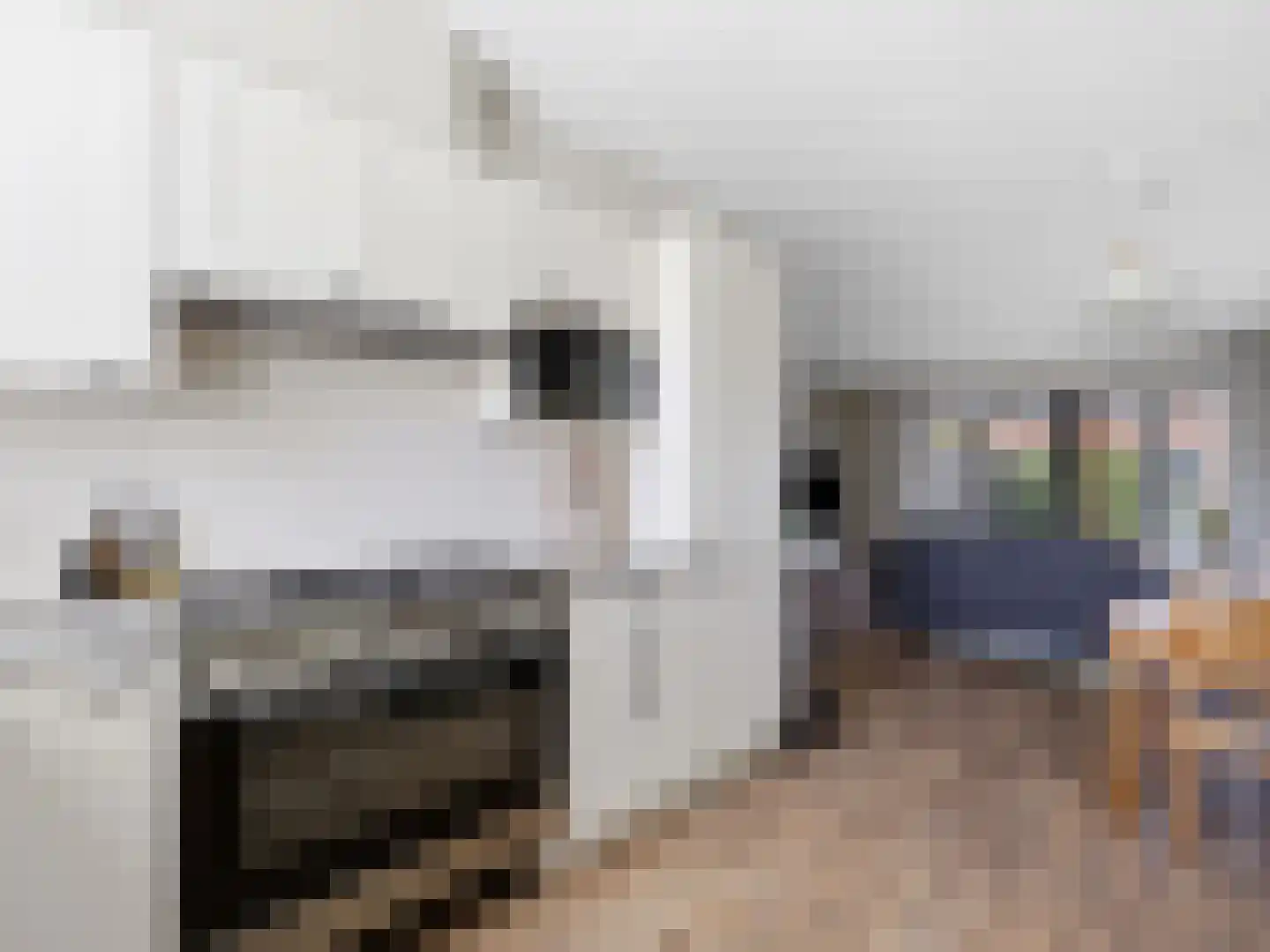 Tak van Poortvlietstraat 2 a Zutphen thumbnail 8