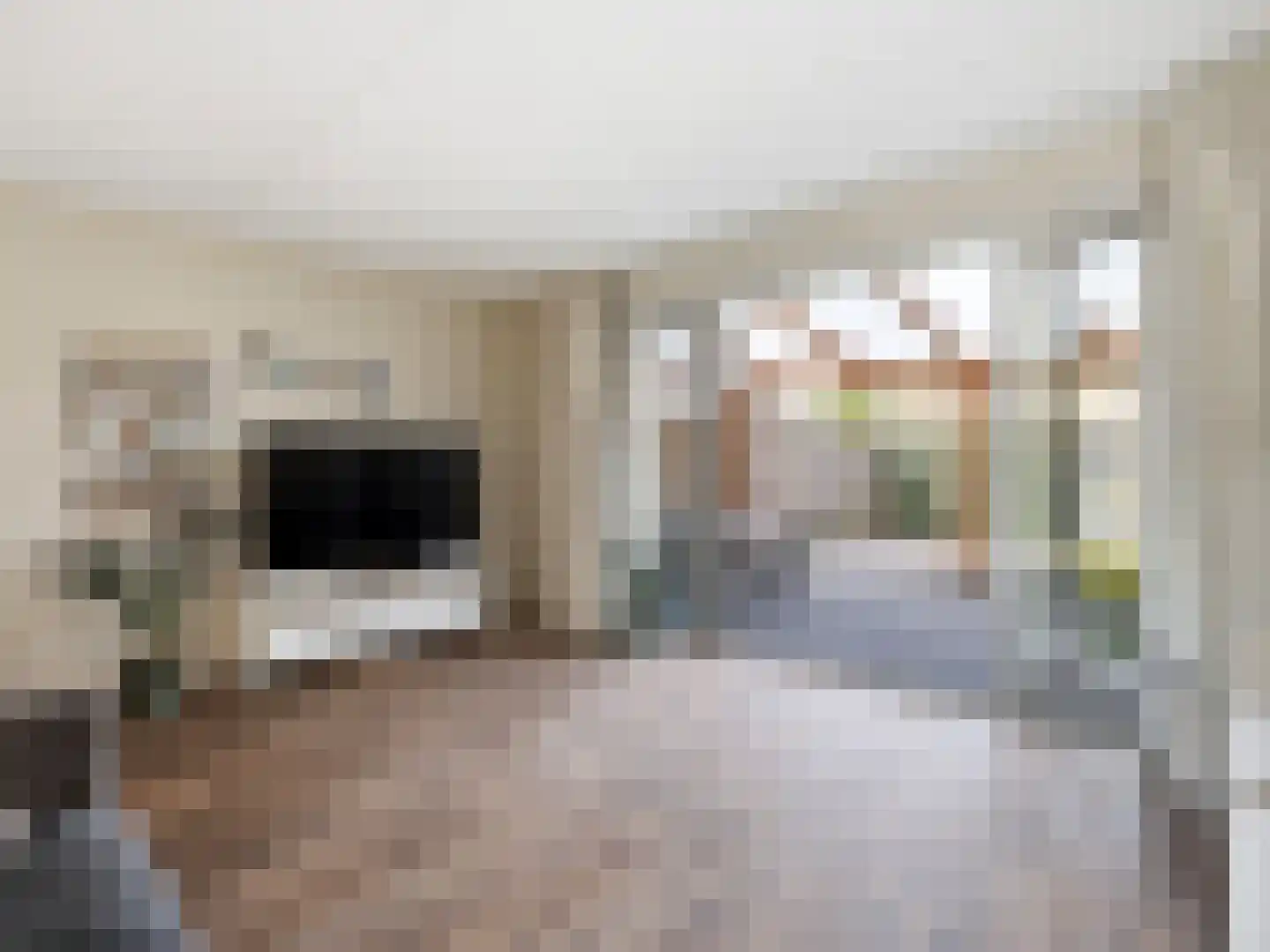 Tak van Poortvlietstraat 2 a Zutphen thumbnail 9
