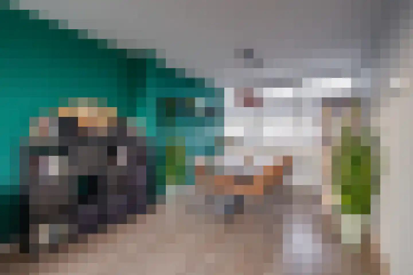 Tak van Poortvlietstraat 28 Zutphen thumbnail 10