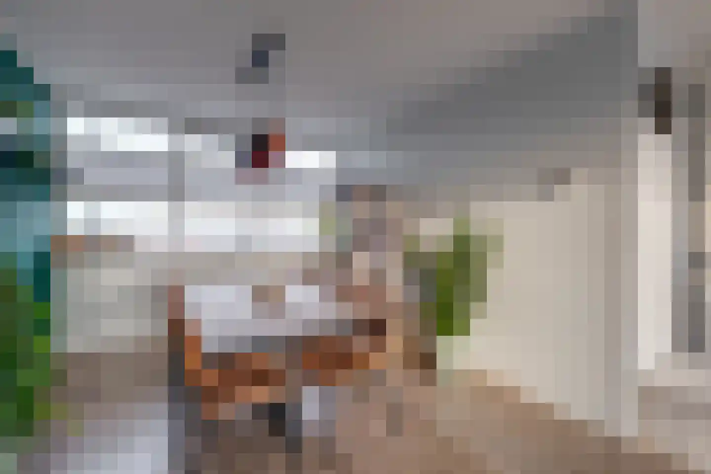 Tak van Poortvlietstraat 28 Zutphen thumbnail 11