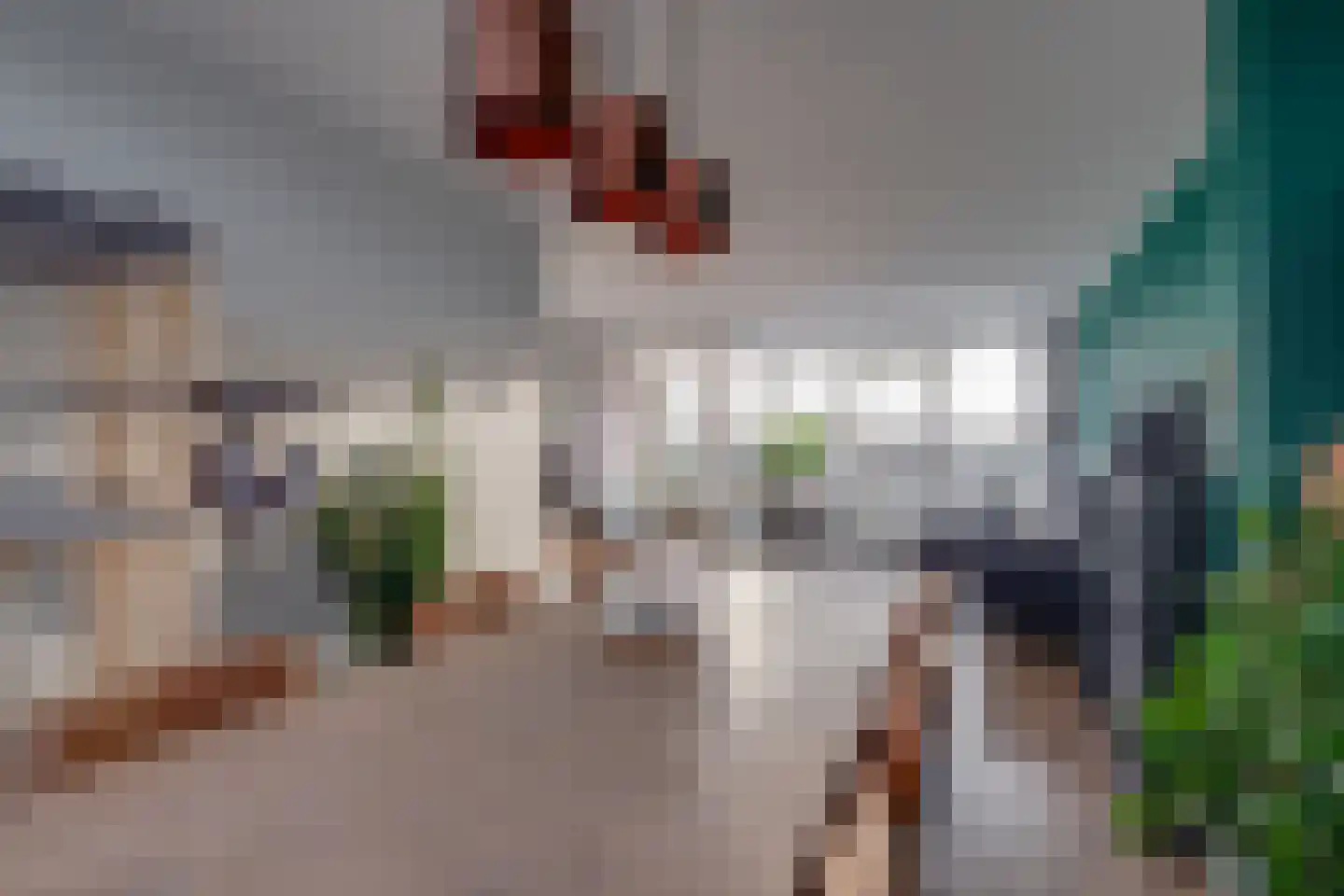 Tak van Poortvlietstraat 28 Zutphen thumbnail 12