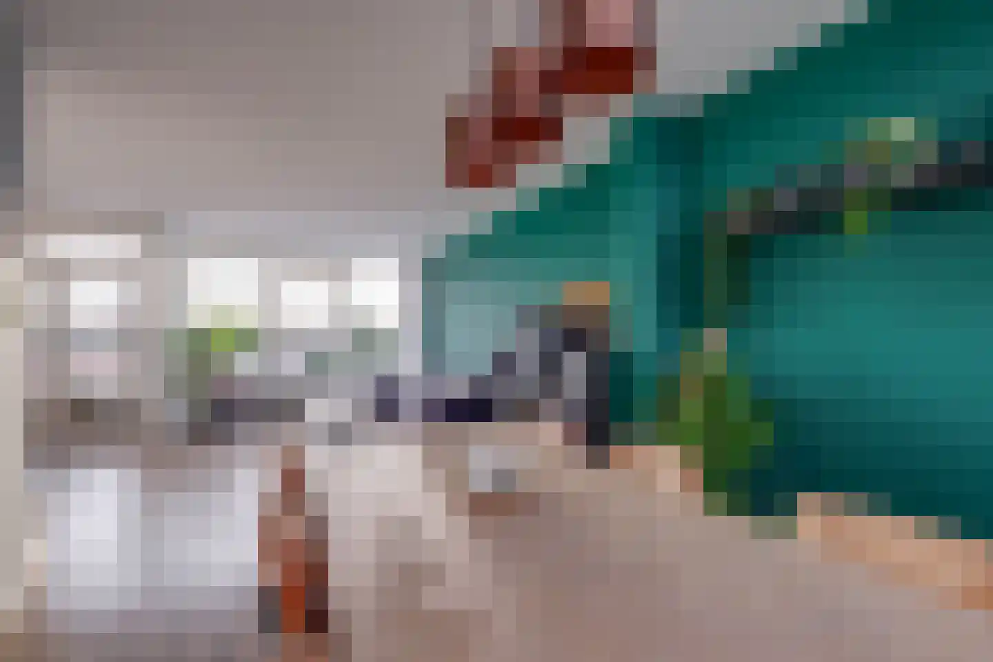 Tak van Poortvlietstraat 28 Zutphen thumbnail 13