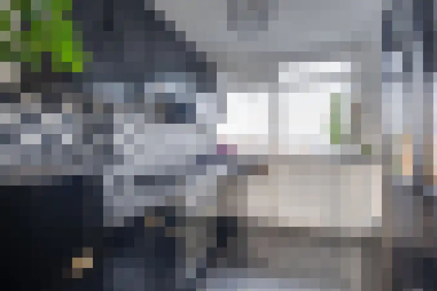 Tak van Poortvlietstraat 28 Zutphen thumbnail 15