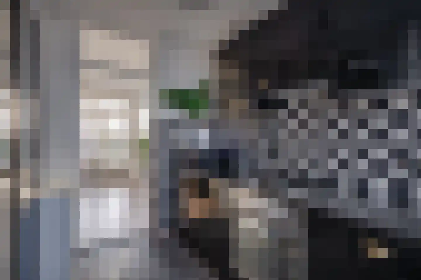 Tak van Poortvlietstraat 28 Zutphen thumbnail 16