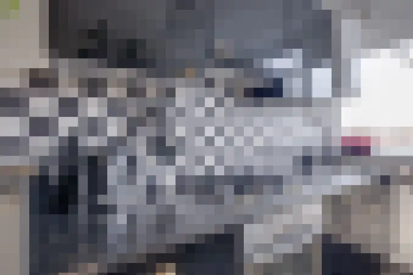 Tak van Poortvlietstraat 28 Zutphen thumbnail 18
