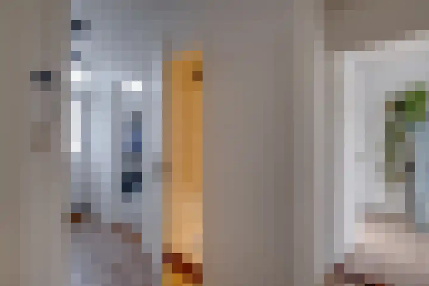 Tak van Poortvlietstraat 28 Zutphen thumbnail 19