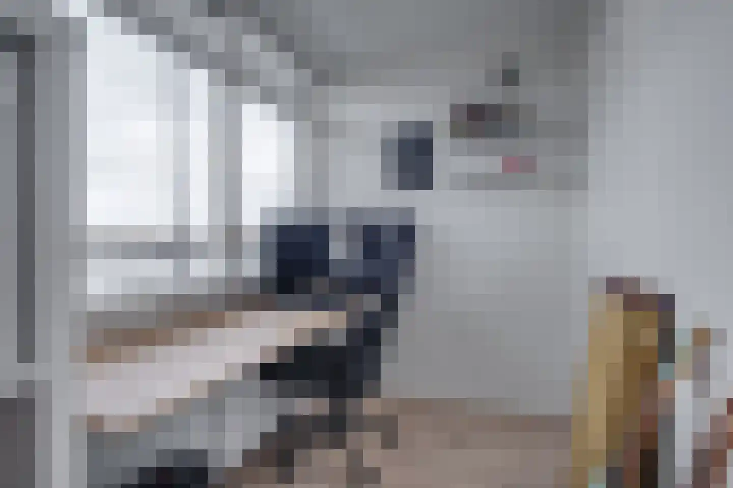 Tak van Poortvlietstraat 28 Zutphen thumbnail 21