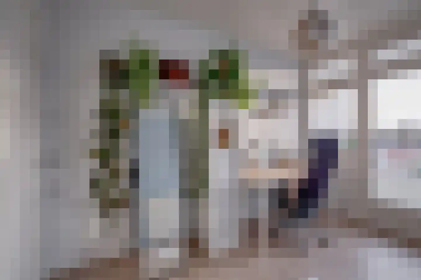 Tak van Poortvlietstraat 28 Zutphen thumbnail 23