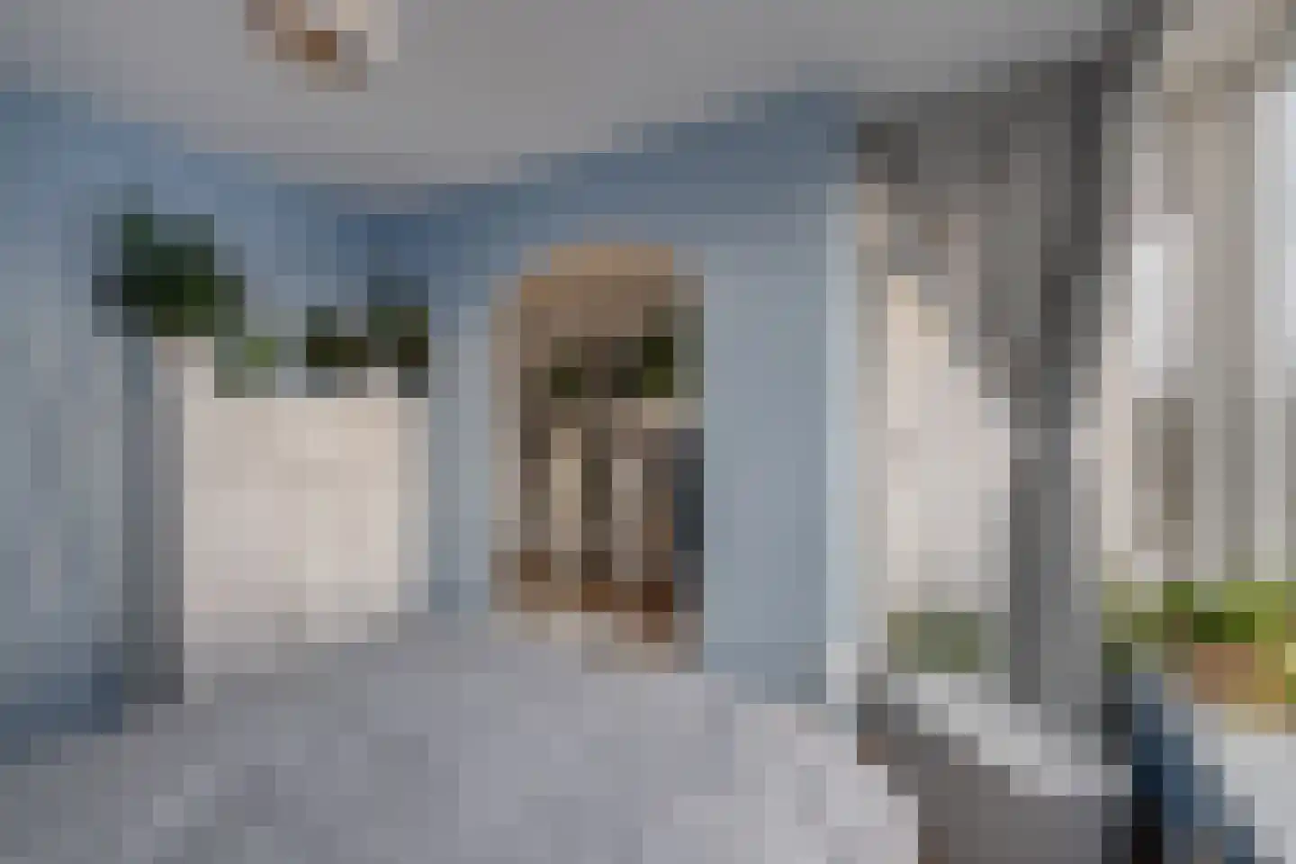 Tak van Poortvlietstraat 28 Zutphen thumbnail 27