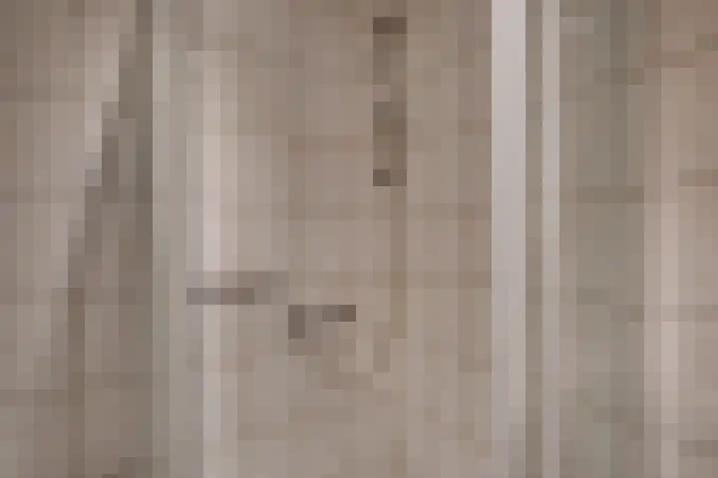 Tak van Poortvlietstraat 28 Zutphen thumbnail 32