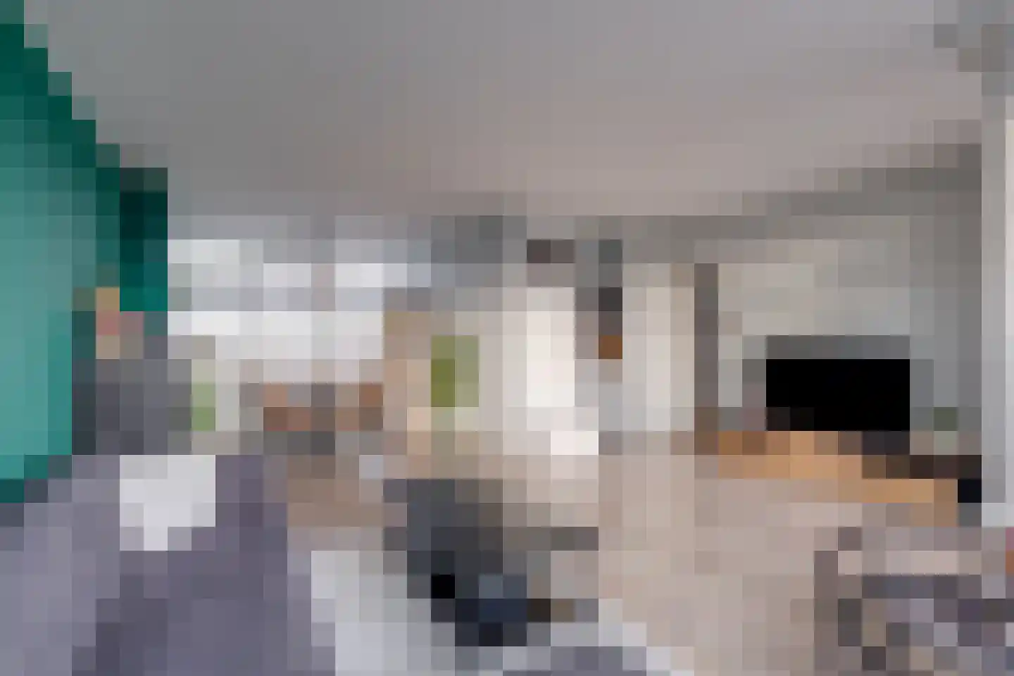 Tak van Poortvlietstraat 28 Zutphen thumbnail 4