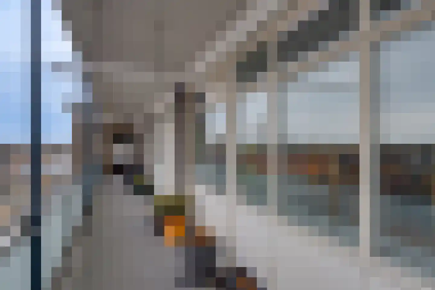 Tak van Poortvlietstraat 28 Zutphen thumbnail 6