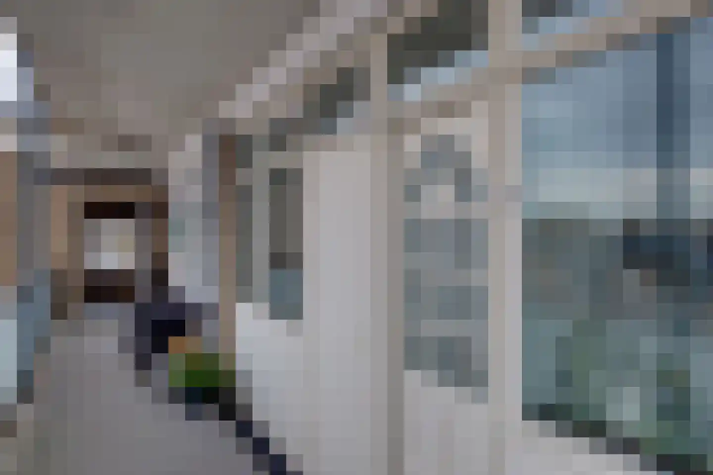 Tak van Poortvlietstraat 28 Zutphen thumbnail 7