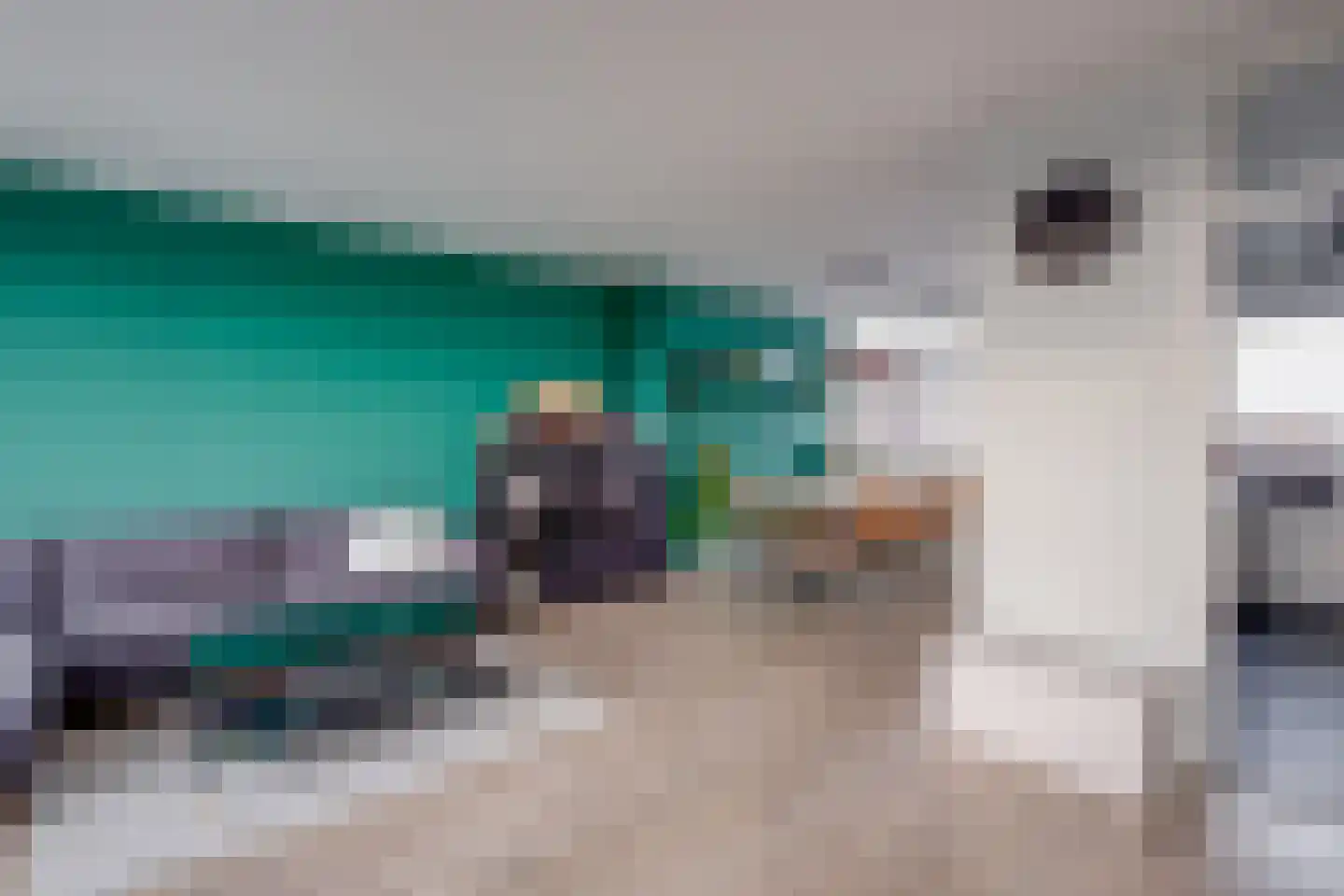 Tak van Poortvlietstraat 28 Zutphen thumbnail 9