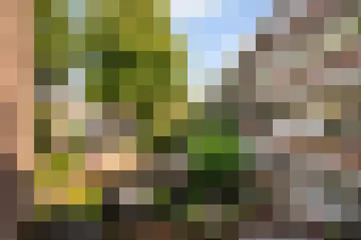 Tak van Poortvlietstraat 29 A Rotterdam thumbnail 31