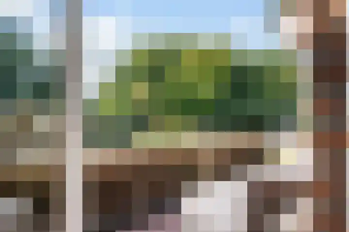 Tak van Poortvlietstraat 29 A Rotterdam thumbnail 44